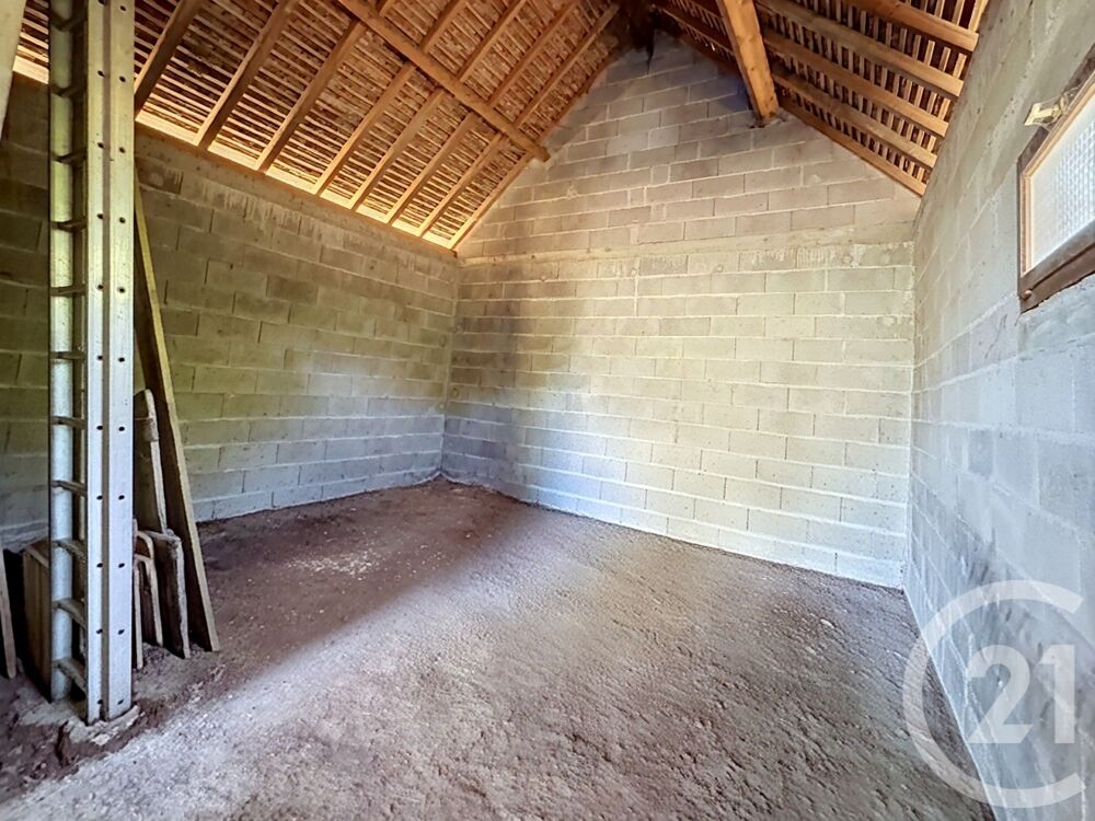 vente Terrain - 1886 m² Cesset (03500)