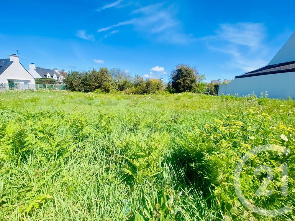 vente Terrain - 994 m² Quiberon (56170)