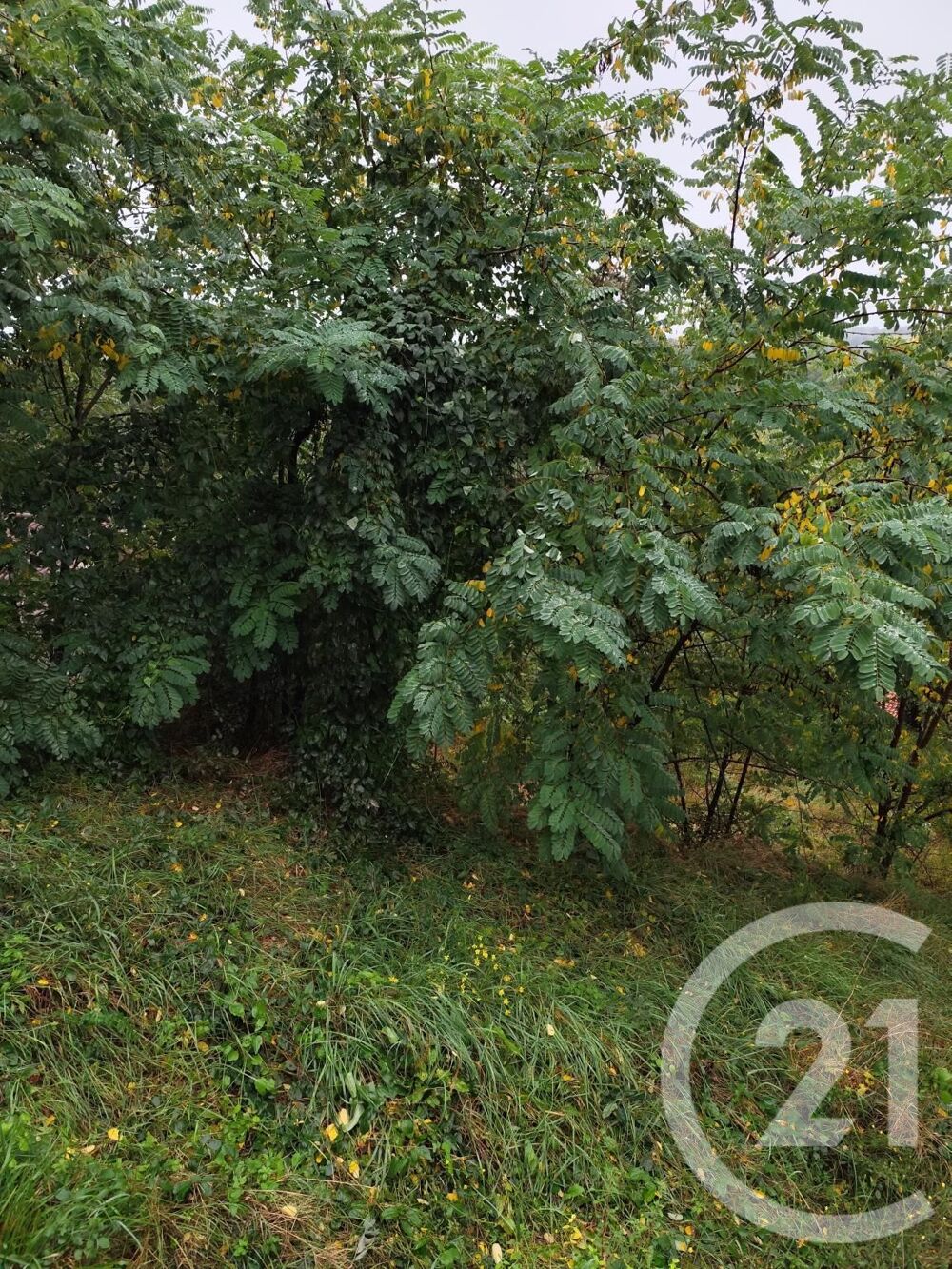 vente Terrain - 719 m² Burlats (81100)