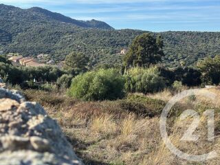  Terrain � vendre 6247 m�