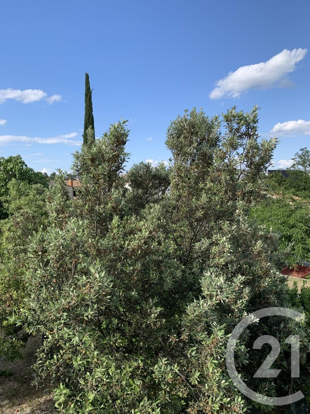 location Appartement - 4 pi�ce(s) - 105 m� Bagnols-sur-C�ze (30200)