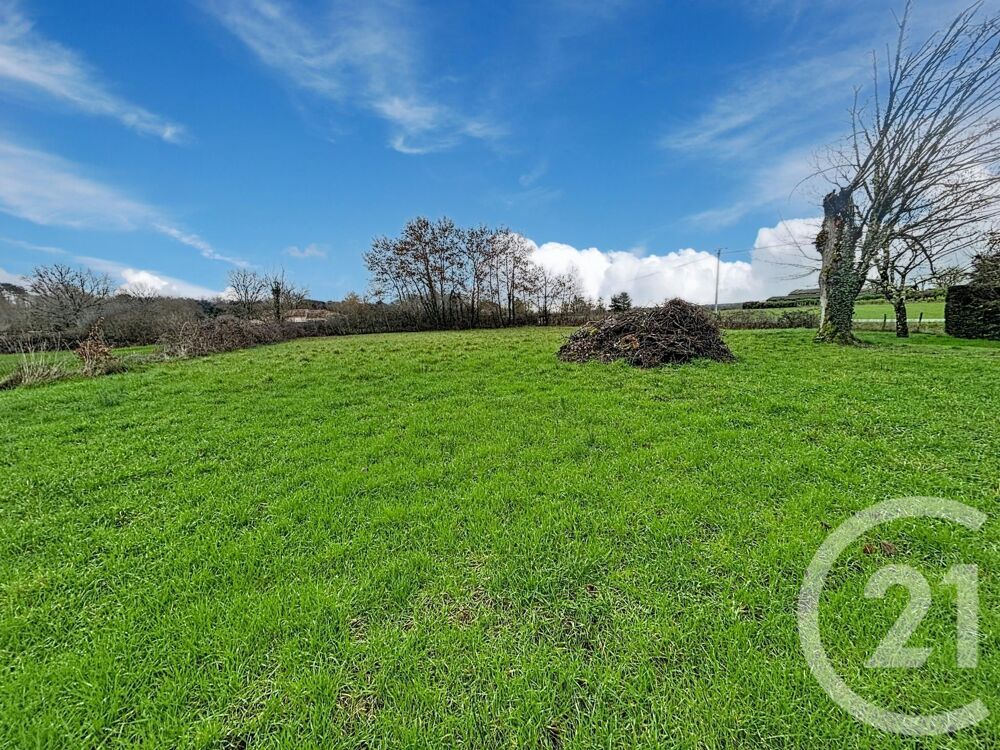 vente Maison - 7 pièce(s) - 315 m² Montpon-Ménestérol (24700)
