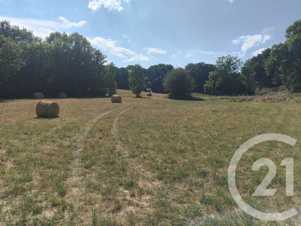 vente Terrain - 10620 m² Tabre (09600)