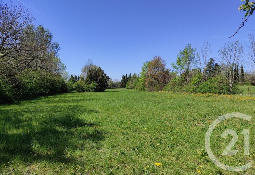 vente Terrain - 8831 m² Castres (81100)