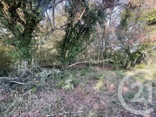  Terrain  vendre 40623 m