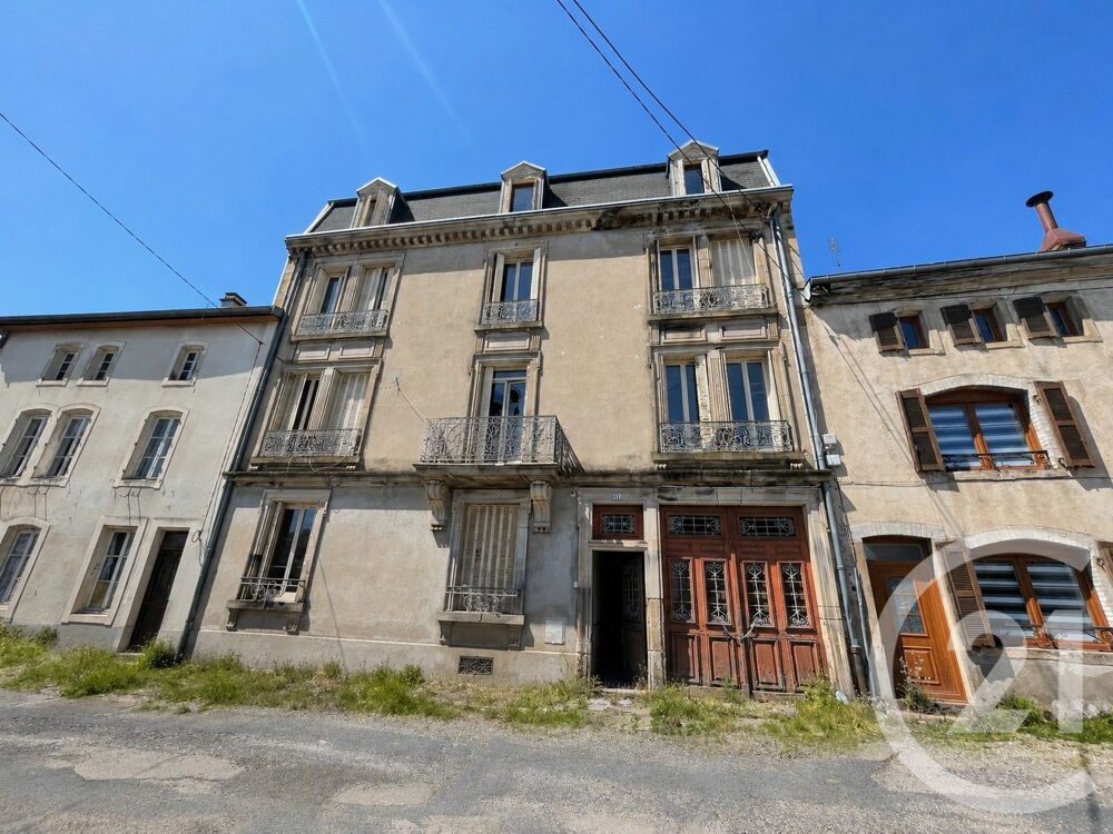 vente Immeuble - 370 m² Rambervillers (88700)