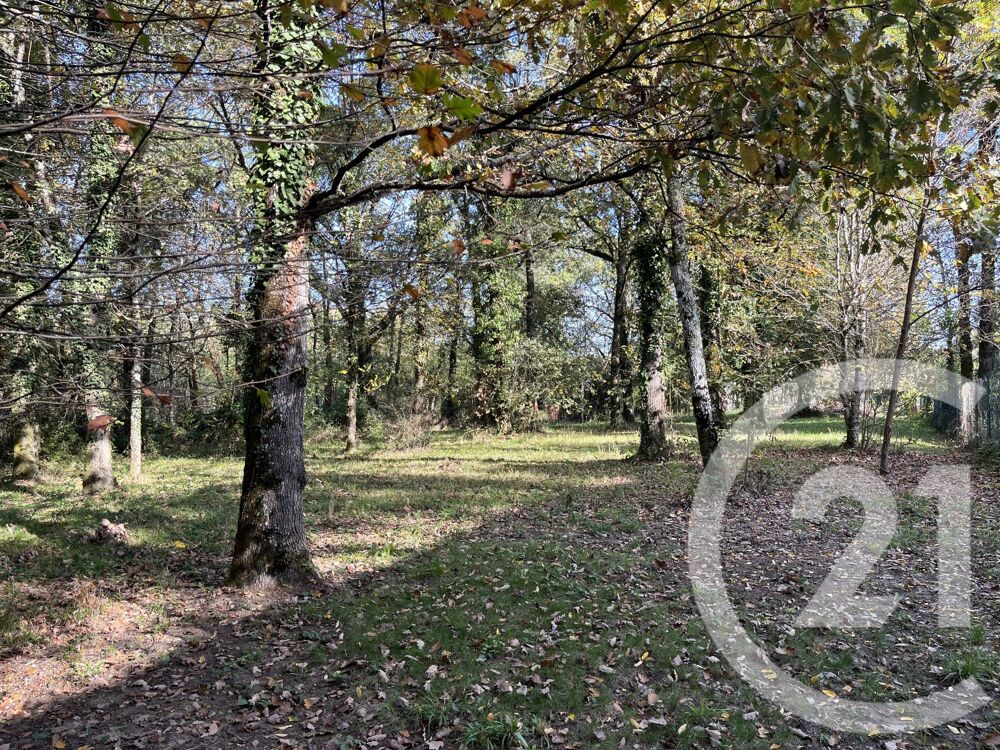 vente Terrain - 5000 m² Bouloc (31620)