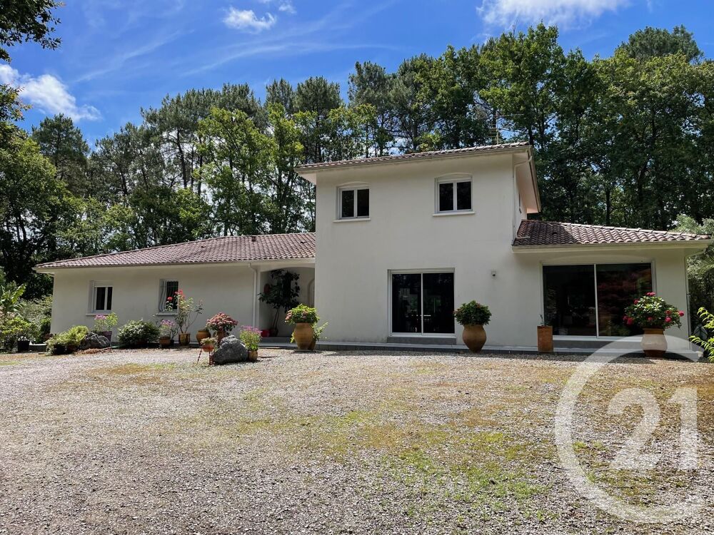 à vendre  Maison Dax (40100)