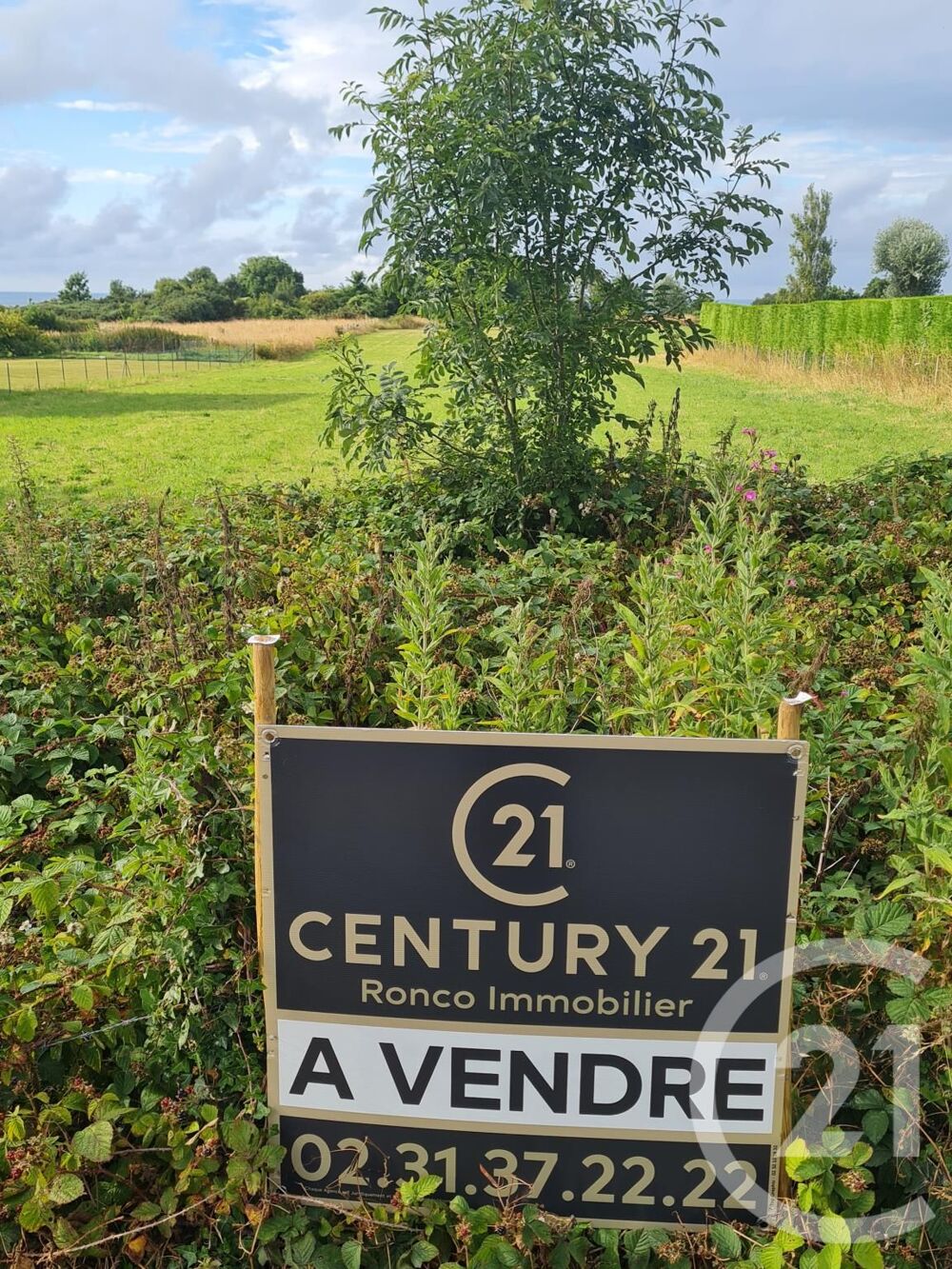 vente Terrain - 4472 m² Commes (14520)