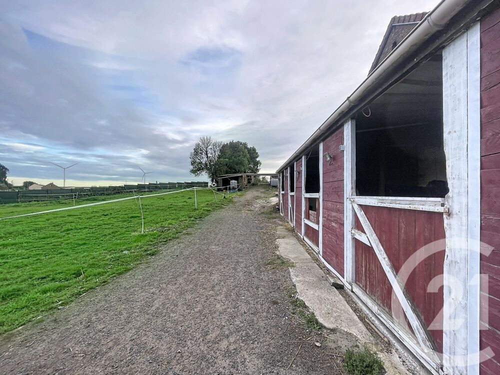 vente Maison - 11 pièce(s) - 253 m² Troisvilles (59980)