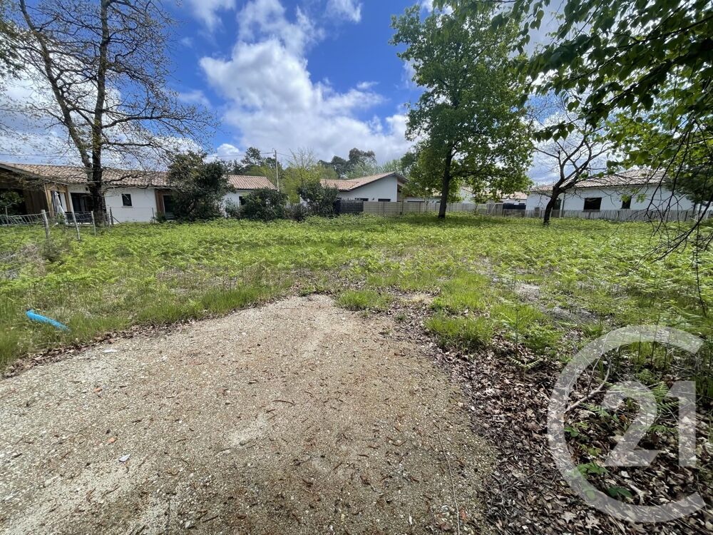 vente Terrain - 989 m� Hourtin (33990)