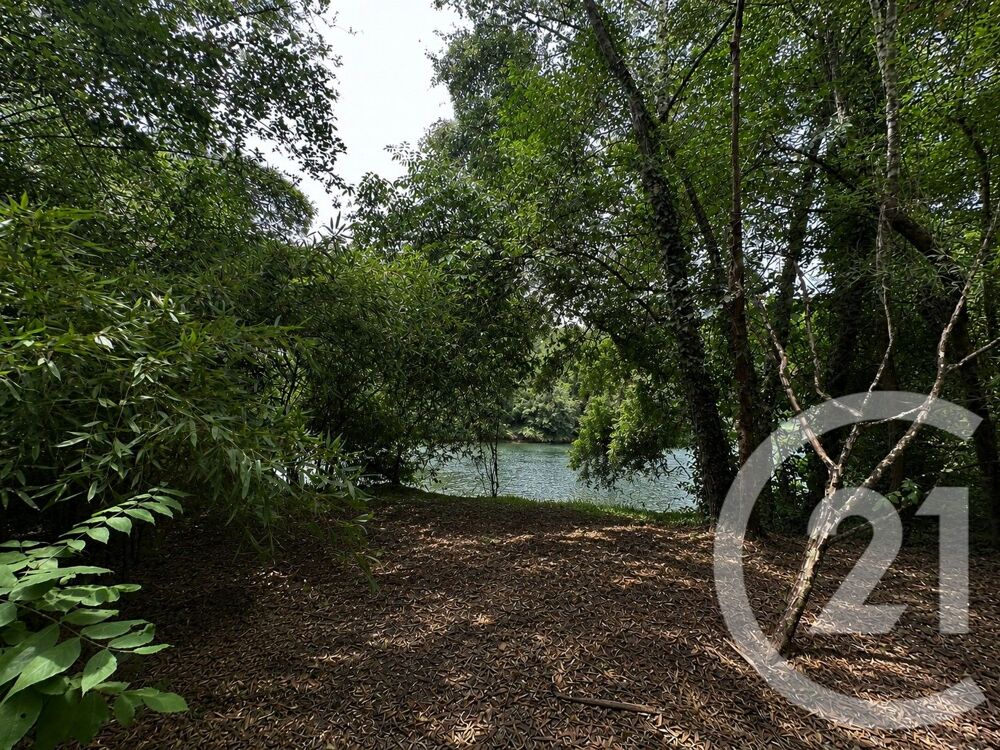vente Terrain - 11849 m² Albi (81000)