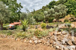  Terrain � vendre 11600 m�