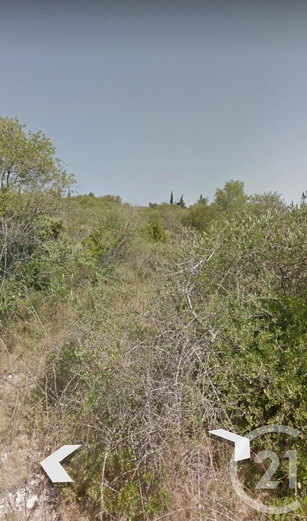 vente Terrain - 1296 m² La Palme (11480)