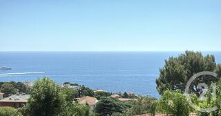  Appartement � louer 2 pi�ces 36 m� Cap d ail