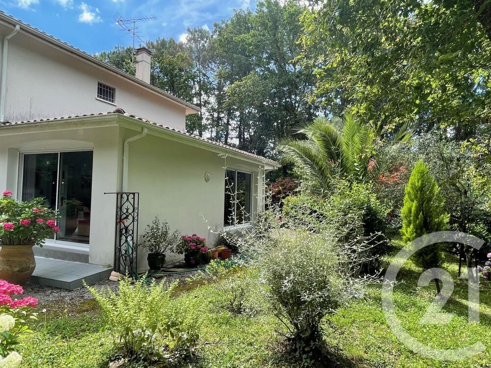à vendre  Maison Dax (40100)