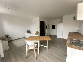  Appartement à louer 1 pièce 30 m²