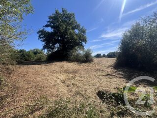  Terrain � vendre 8775 m�