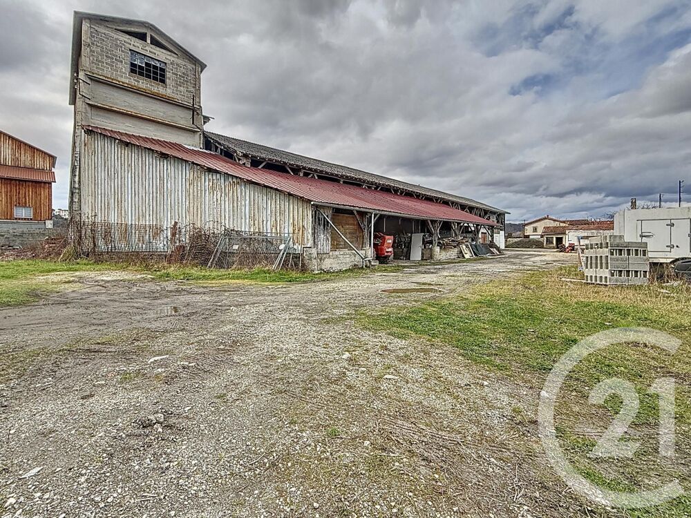 vente Autres - 1000 m² Prat-Bonrepaux (09160)