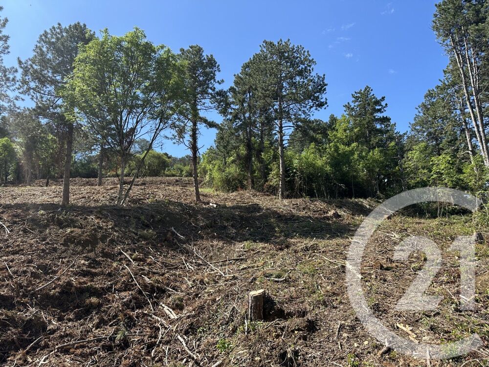 vente Terrain - 4066 m² Alès (30100)