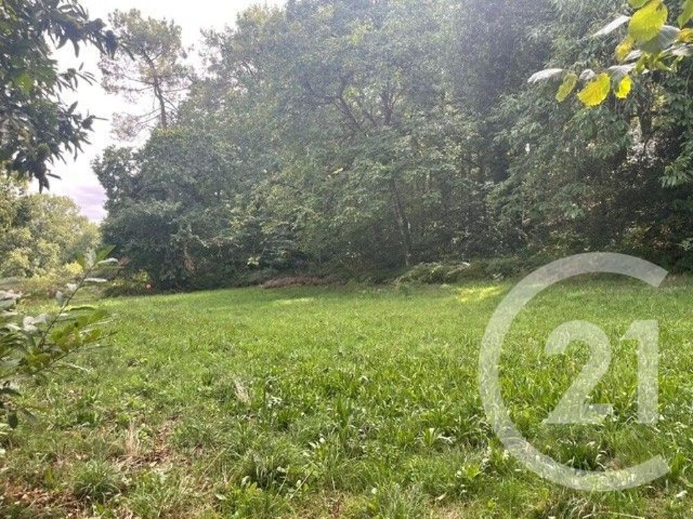 vente Maison - 5 pièce(s) - 214 m² Saint-Avé (56890)