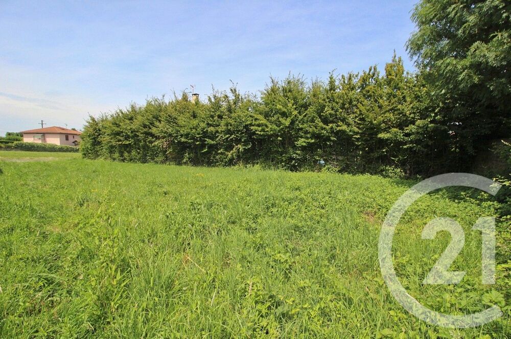 vente Terrain - 525 m² Pizay (01120)