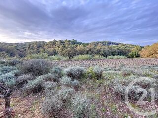  Terrain � vendre 19970 m�