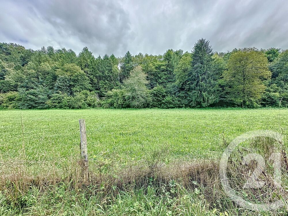 vente Maison - 7 pi�ce(s) - 359 m� Castelnau-Durban (09420)