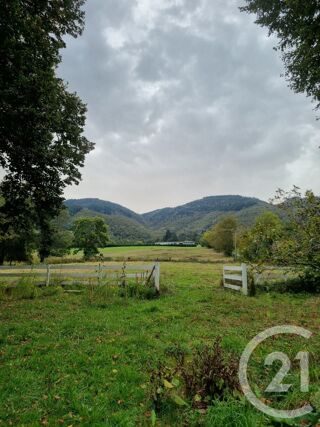  Maison � vendre 15 + pi�ces 14000 m�