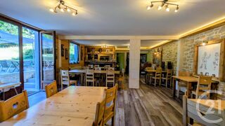  Maison à vendre 11 pièces 600 m²