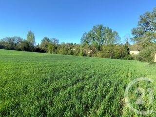  Terrain à vendre 32000 m²