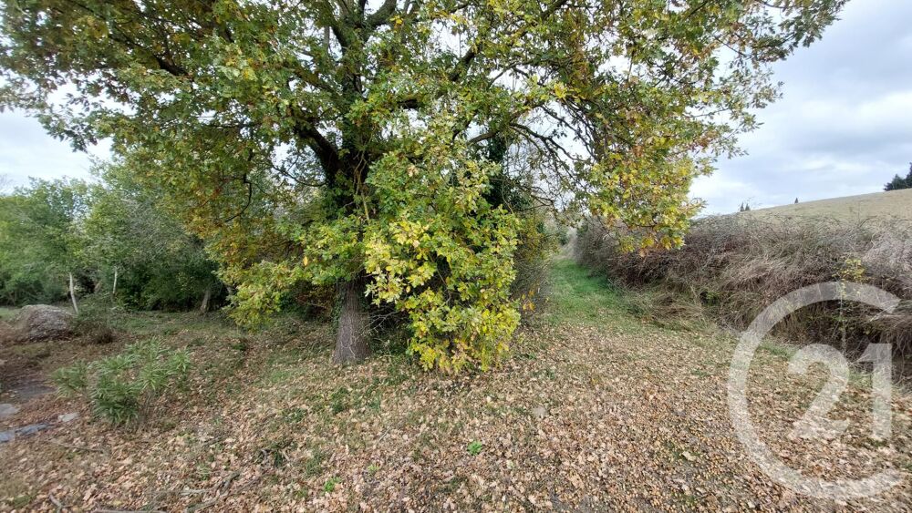 vente Maison - 4 pièce(s) - 145 m² Cailhau (11240)