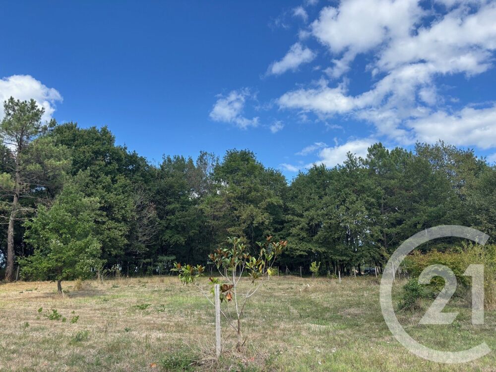 vente Terrain - 3400 m² Montpon-Ménestérol (24700)