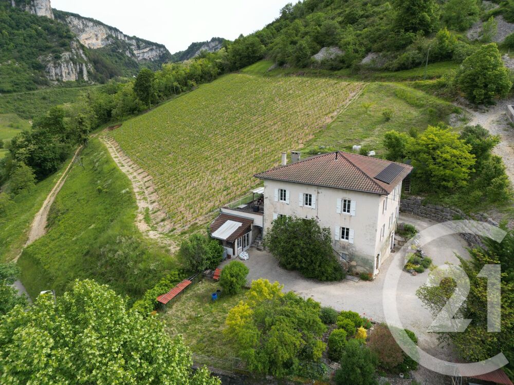RARE SUR LE SECTEUR, à 30 min d'Ambérieu en Bugey, 40 mi....