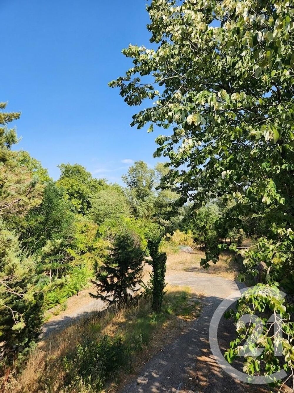 vente Maison - 8 pièce(s) - 287 m² Castres (81100)
