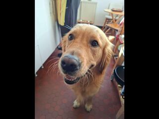  Colocation � louer 5 pi�ces 105 m�