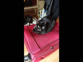  Colocation � louer 4 pi�ces 70 m�