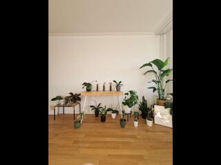  Colocation � louer 4 pi�ces 100 m�