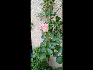  Colocation � louer 4 pi�ces 80 m�