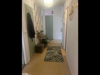  Colocation � louer 3 pi�ces 65 m�