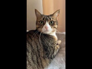  Colocation � louer 4 pi�ces 96 m�