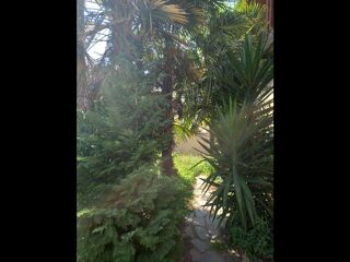  Colocation  louer 2 pices 27 m