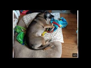  Colocation � louer 6 pi�ces 70 m�