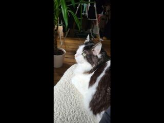  Colocation � louer 4 pi�ces 80 m�