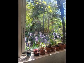  Colocation � louer 8 pi�ces 100 m�