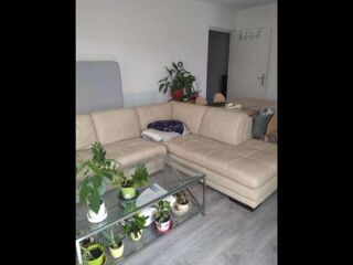  Colocation � louer 4 pi�ces 170 m�