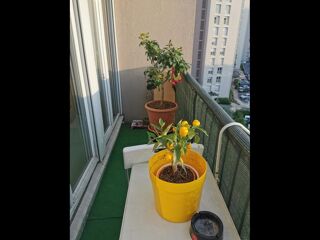  Colocation � louer 5 pi�ces 104 m�