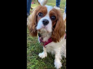  Colocation � louer 5 pi�ces 98 m�