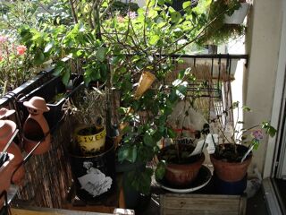  Colocation � louer 6 pi�ces 100 m�