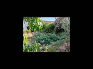  Colocation � louer 7 pi�ces 130 m�